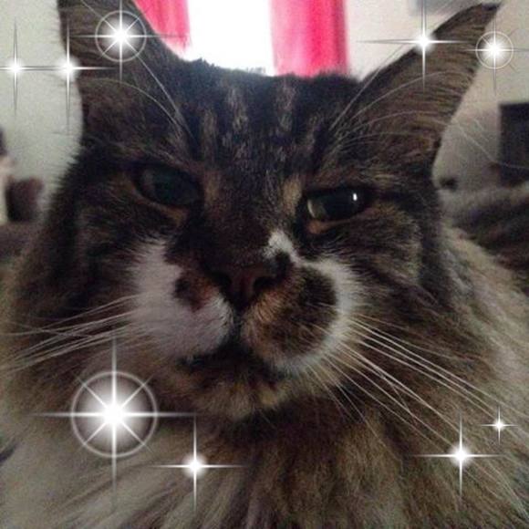 Meet your Posher, Kim - Picture 1 of 1